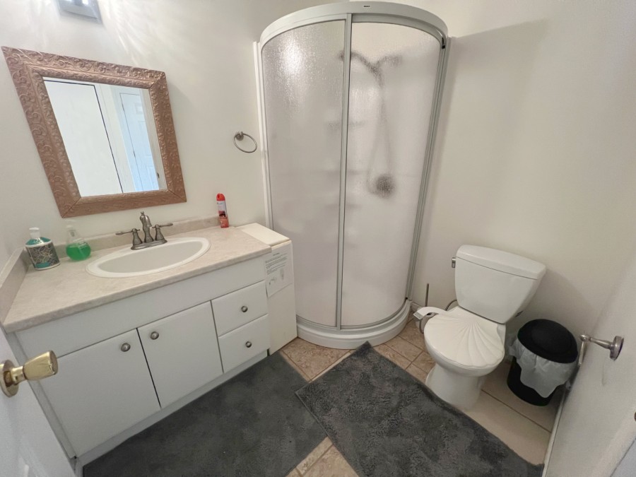 Bathroom - 2 - Lower level