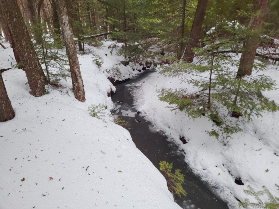 Creek on Property - Winter